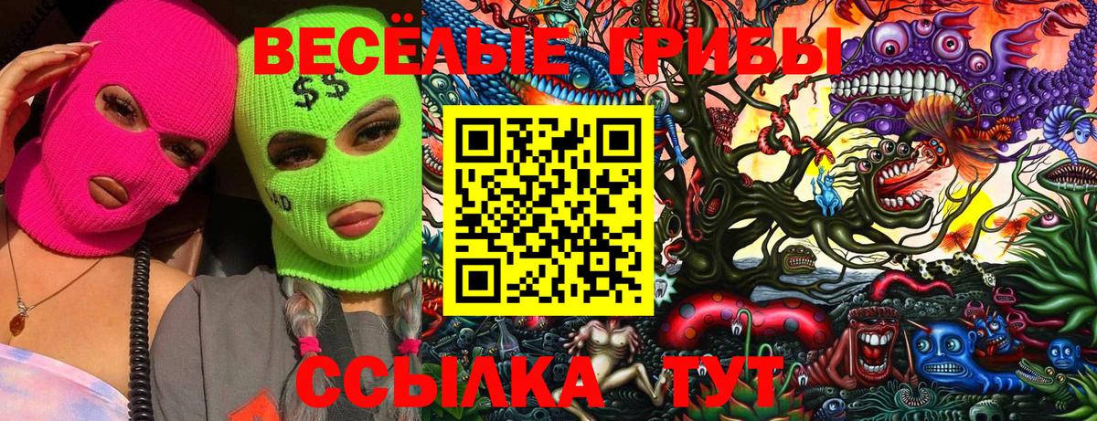 Галлюциногенные грибы GOLDEN TEACHER  цена наркотик  Вход с VPN  Торжок  Галлюциногенные грибы Magic Shrooms 
