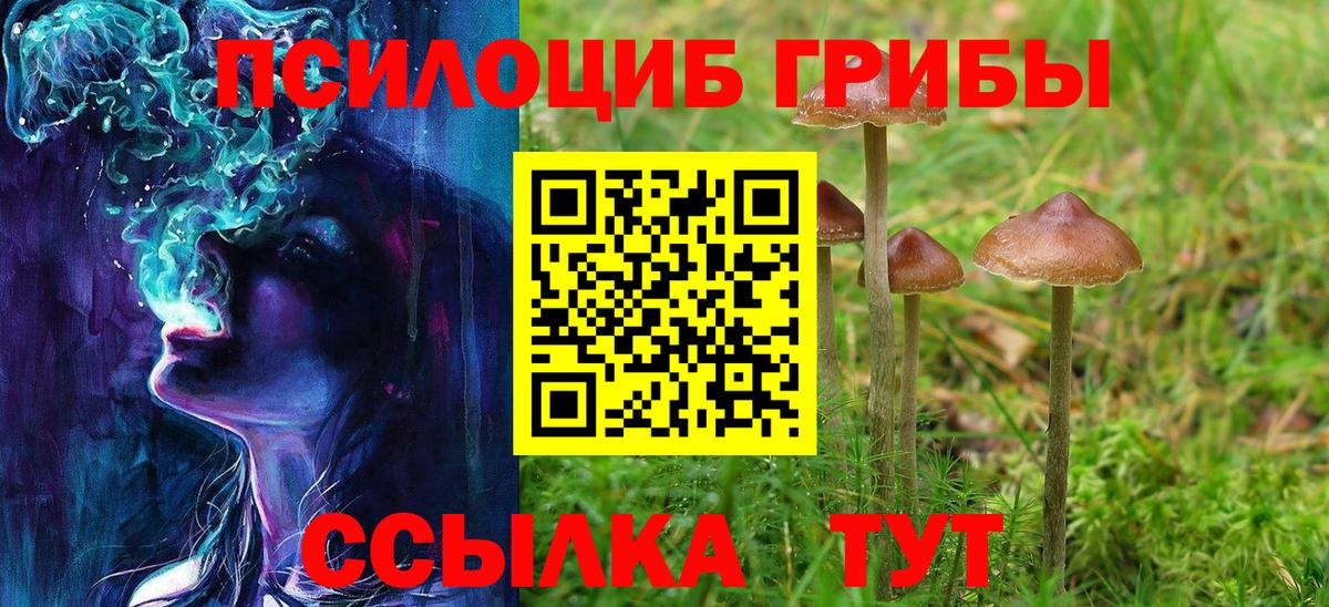 Галлюциногенные грибы прущие грибы Торжок