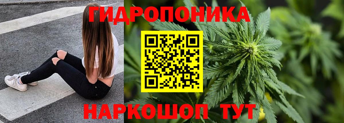 Канабис OG Kush Торжок